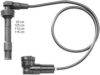 BERU ZEF1188 Ignition Cable Kit